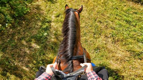 tranny riding pov|RIDING POV @ Tranny Clips .
